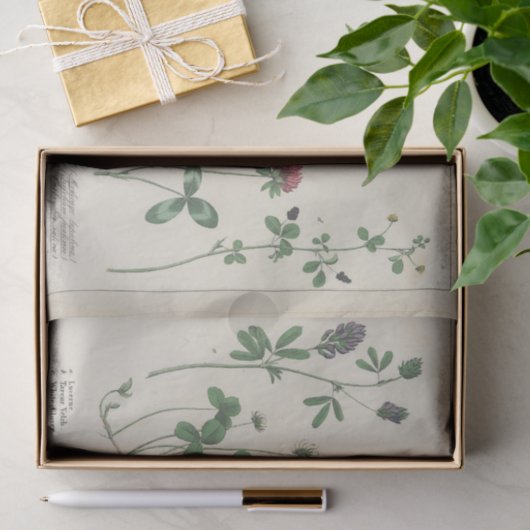 Roze en Groene Wildflower Tissuepapier (Geschenk)