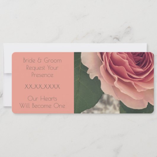 Roze en koraal Roos Kaart (Voorkant)