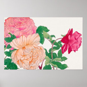 Roze en lichtoranje rozenbloemen poster