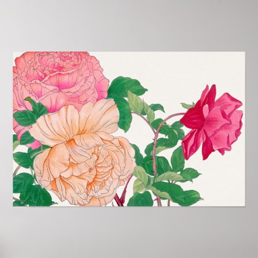 Roze en lichtoranje rozenbloemen poster (Voorkant)