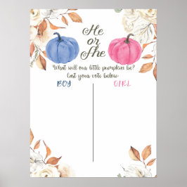 Roze en marineblauwe stemboard voor geslacht onthu poster