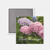 Roze en mauve hortensia's magneet (Voorkant / Achterkant)