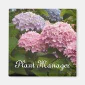 Roze en mauve hortensia's magneet (Voorkant)