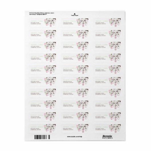 Roze en Munt Green Mason Jars Weddenschap Etiket (Full Sheet)
