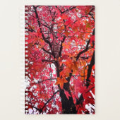 Roze en oranje bladeren planner (Voorkant)