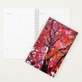 Roze en oranje bladeren planner