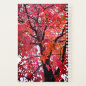 Roze en oranje bladeren planner (Achterkant)