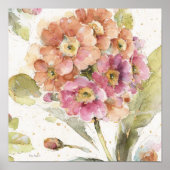 Roze en Oranje primrose Poster (Voorkant)