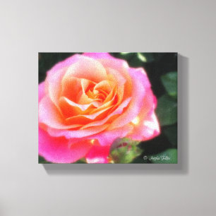  Roze en Oranje Roos Macro Foto Canvas Afdruk