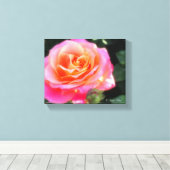  Roze en Oranje Roos Macro Foto Canvas Afdruk (Insitu (Houten vloer))