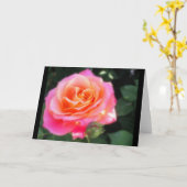  Roze en Oranje Roos Macro Foto Kaart (Gele Bloem)