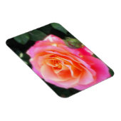  Roze en Oranje Roos Macro Foto Magneet (Rechterzijde)