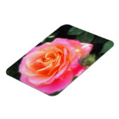  Roze en Oranje Roos Macro Foto Magneet (Linkerzijde)
