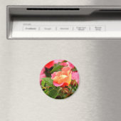 Roze en Oranje Roos Magnet (Insitu (Vaatwasser))