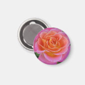 Roze en Oranje Roos Magnet (Voorkant / Achterkant)
