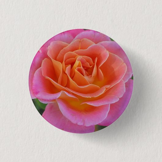 Roze en Oranje Rozen Button (Voorkant)