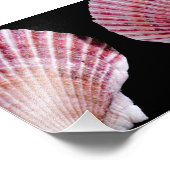 Roze en Oranje Scallops Foto Afdruk (Hoek)