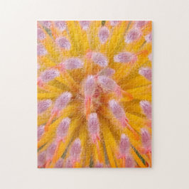 Roze en Oranje speldenkussen Proteaceae Legpuzzel