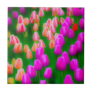 Roze en oranje tulpenflorale vormgeving tegeltje