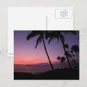 Roze en paars tropisch zonneschijn briefkaart (Voorkant / Achterkant)