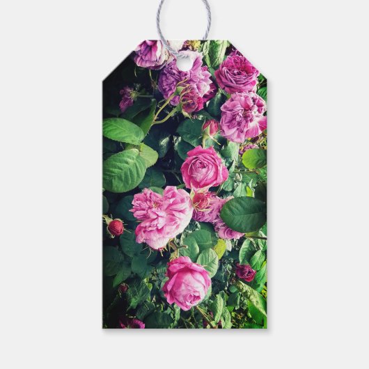 Roze en paarse bloemen cadeaulabel (Voorkant)
