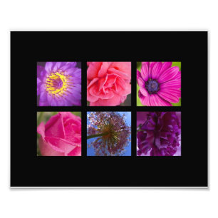Roze en paarse bloemen foto afdruk