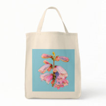 Roze en paarse bloemen