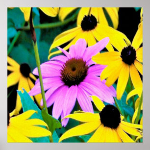 Roze en Paarse condensor met gele bloemen Poster