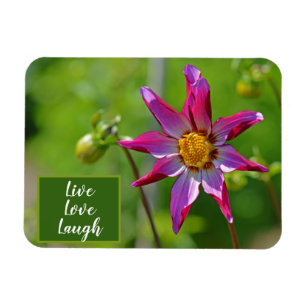 Roze en Paarse Dahlia Flower Motivatie Magneet