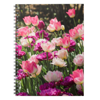 Roze en Paarse Delight Notitieboek