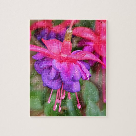 Roze en paarse Fuchsia bloemen in bloei Legpuzzel (Verticaal)