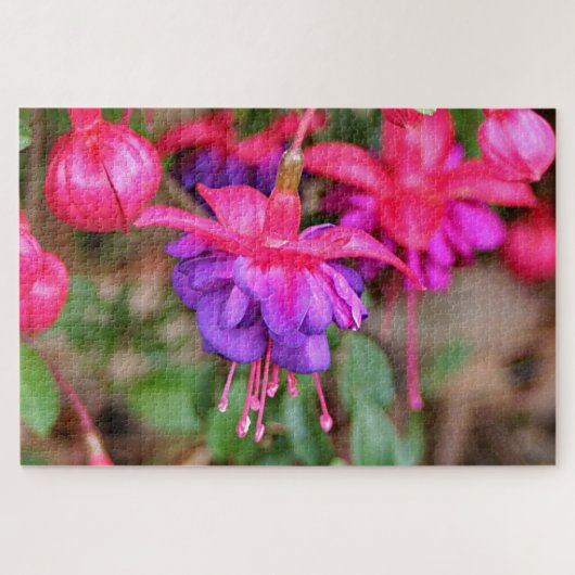 Roze en paarse Fuchsia bloemen in bloei Legpuzzel (Horizontaal)