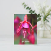 Roze en Paarse Fuchsia Briefkaart (Staand voorkant)