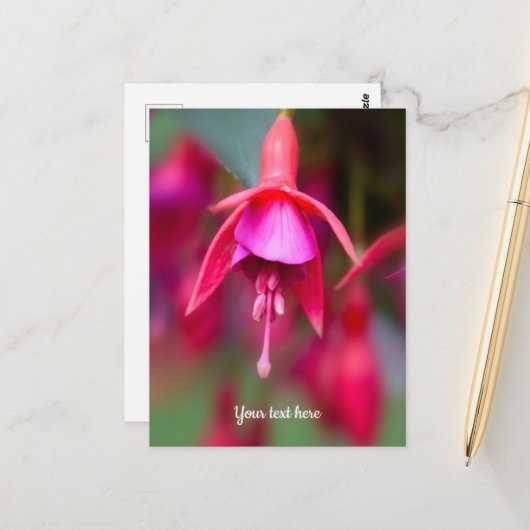 Roze en Paarse Fuchsia Briefkaart (Voorkant / Achterkant in situ)