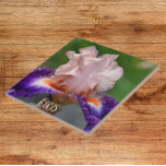 Roze en Paarse gekaarde iris Tegeltje<br><div class="desc">Keramische tegel met het afbeelding van de foto van een roze en paarse,  baard Iris-bloem met oranje baarden. Een mooi,  bloemetjesontwerp! Selecteer de grootte van uw tegel. Maakt een  keukentochtje!</div>