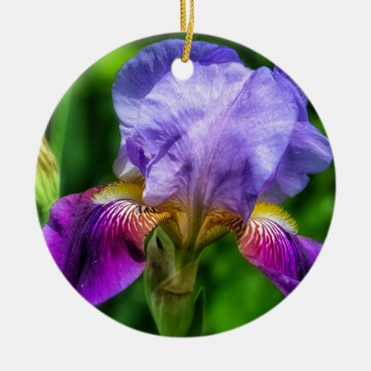 Roze en Paarse gele Iris bloem Keramisch Ornament (Voorkant)