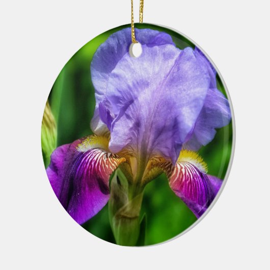 Roze en Paarse gele Iris bloem Keramisch Ornament (Links)