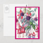 Roze en Paarse hangende Fuchsia bloemen Briefkaart (Voorkant / Achterkant)