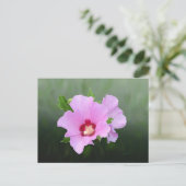 Roze en Paarse Hollyhock Flowers Briefkaart (Staand voorkant)