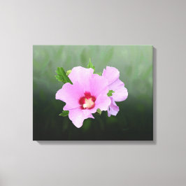 Roze en Paarse Hollyhock Flowers Canvas Afdruk