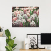 Roze en Paarse hyacinth in de voortuin Poster (Thuiskantoor)