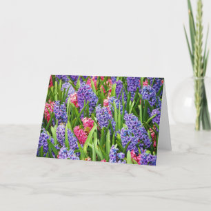 Roze en paarse hyacinth wenskaart kaart