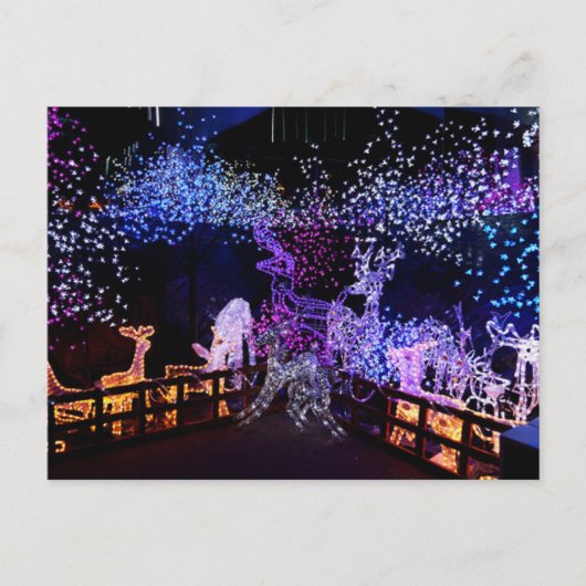 Roze en Paarse kerstversiering buiten Feestdagenkaart (Voorkant)