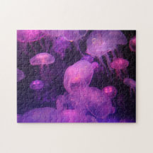 Roze en Paarse kwallen