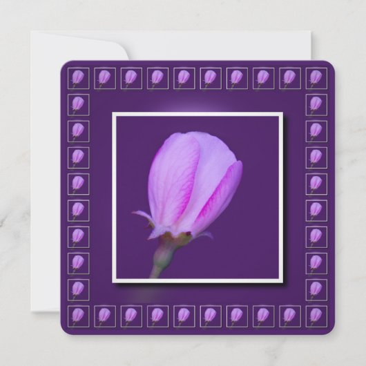 Roze en Paarse lentebloesem Kaart (Voorkant)