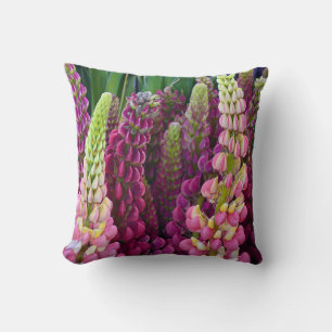 Roze en paarse lupine bloemen werpen kussen op