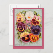  roze en Paarse Pansies -  kunst Briefkaart (Voorkant / Achterkant)