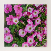 Roze en paarse petunies legpuzzel (Horizontaal)