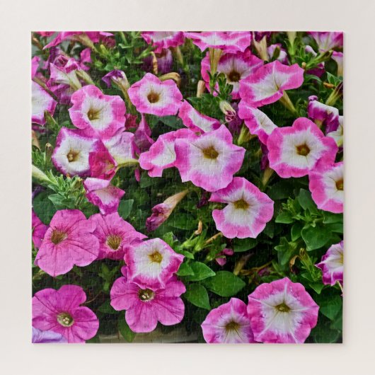Roze en paarse petunies legpuzzel (Verticaal)