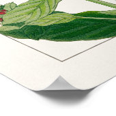 Roze en Paarse Phlox Flowers, gemaakt door Tanigam Poster (Hoek)